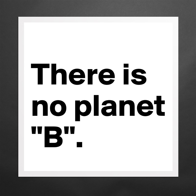 
There is no planet "B". Matte White Poster Print Statement Custom 
