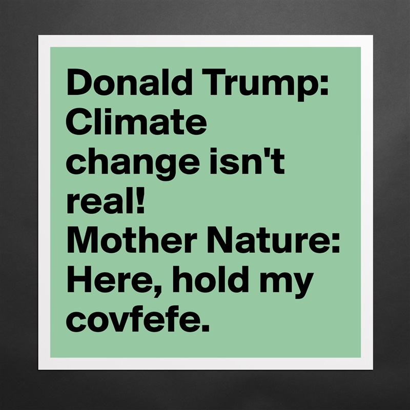 Donald Trump: Climate change isn't real!
Mother Nature: Here, hold my covfefe. Matte White Poster Print Statement Custom 