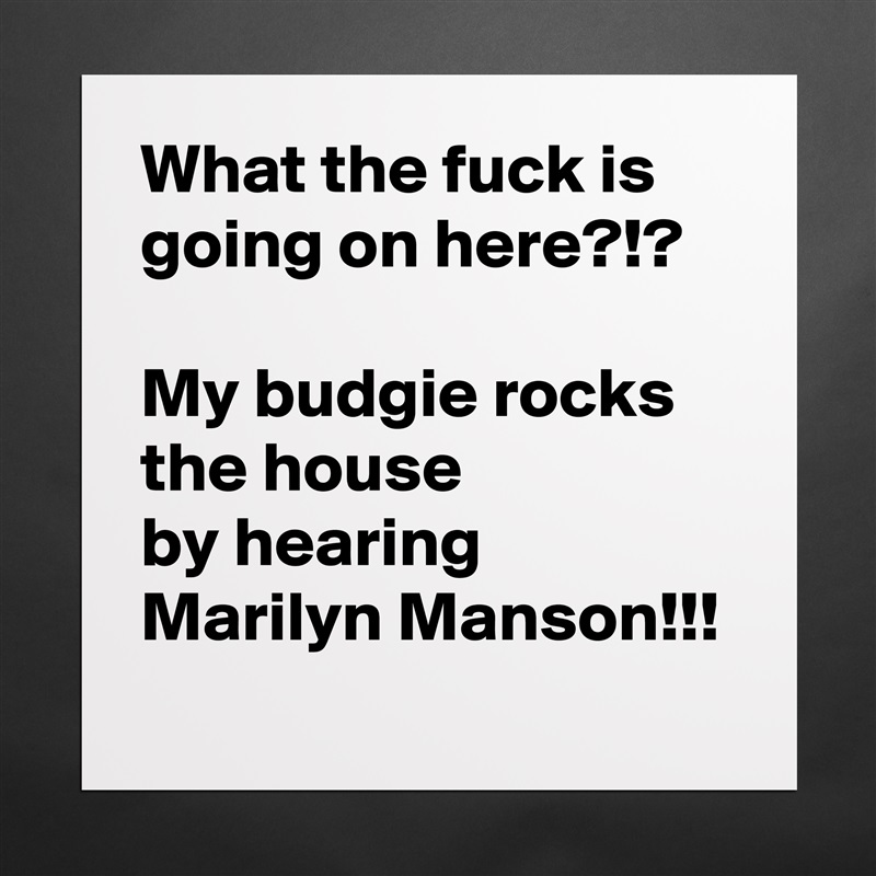 What the fuck is going on here?!?

My budgie rocks the house
by hearing Marilyn Manson!!! Matte White Poster Print Statement Custom 