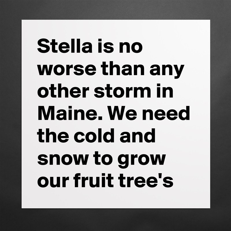 Stella is no worse than any other storm in Maine. We need the cold and snow to grow our fruit tree's  Matte White Poster Print Statement Custom 