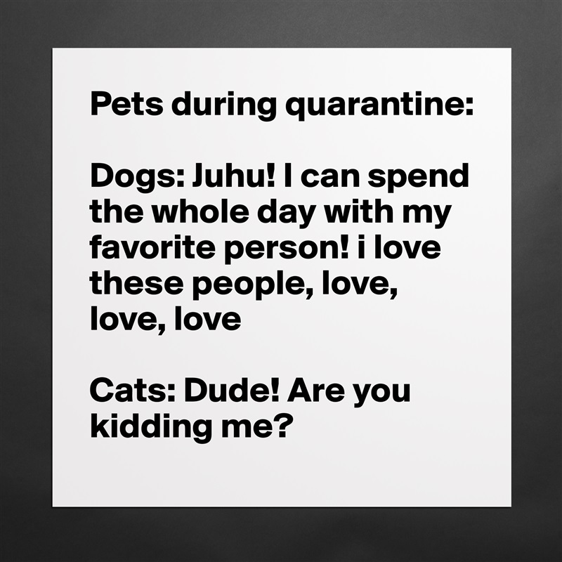 Pets during quarantine:

Dogs: Juhu! I can spend the whole day with my favorite person! i love these people, love, love, love

Cats: Dude! Are you kidding me? Matte White Poster Print Statement Custom 