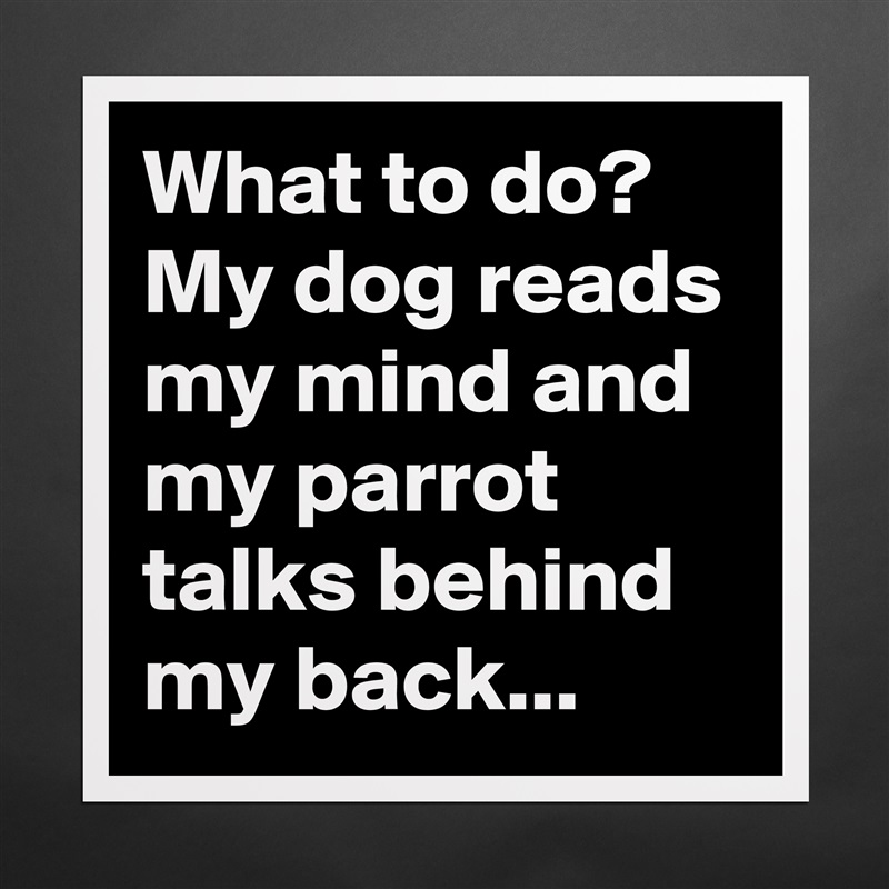 What to do? My dog reads my mind and my parrot talks behind my back... Matte White Poster Print Statement Custom 