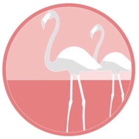 vacflamingos on Boldomatic - Travel tips for around the world *cities* *food* *design*