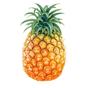 JabezOfTurnip on Boldomatic - Pineapple