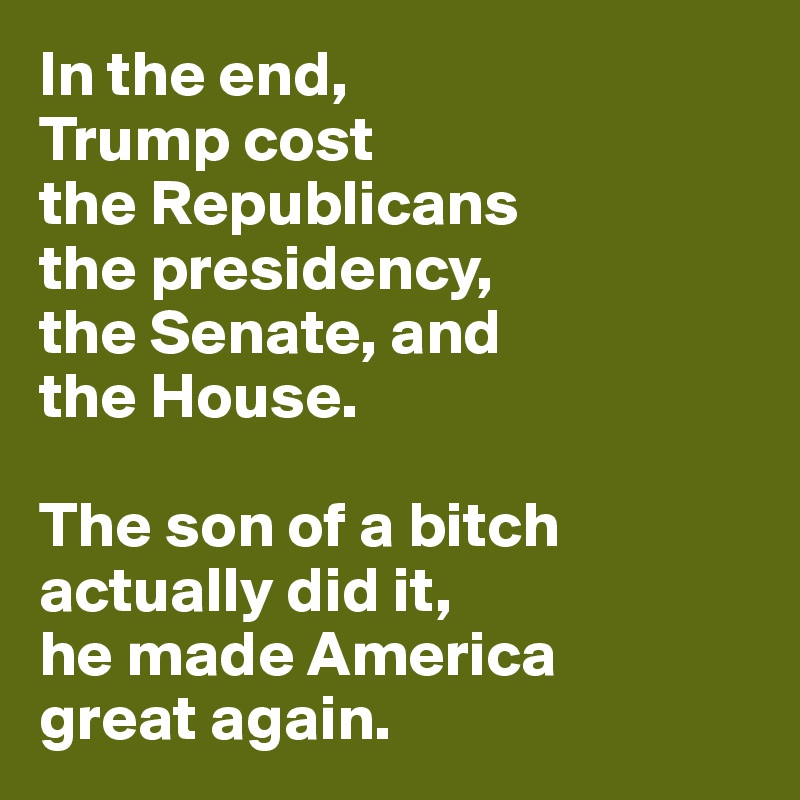 In the end,
Trump cost 
the Republicans 
the presidency, 
the Senate, and 
the House.

The son of a bitch 
actually did it,
he made America
great again.