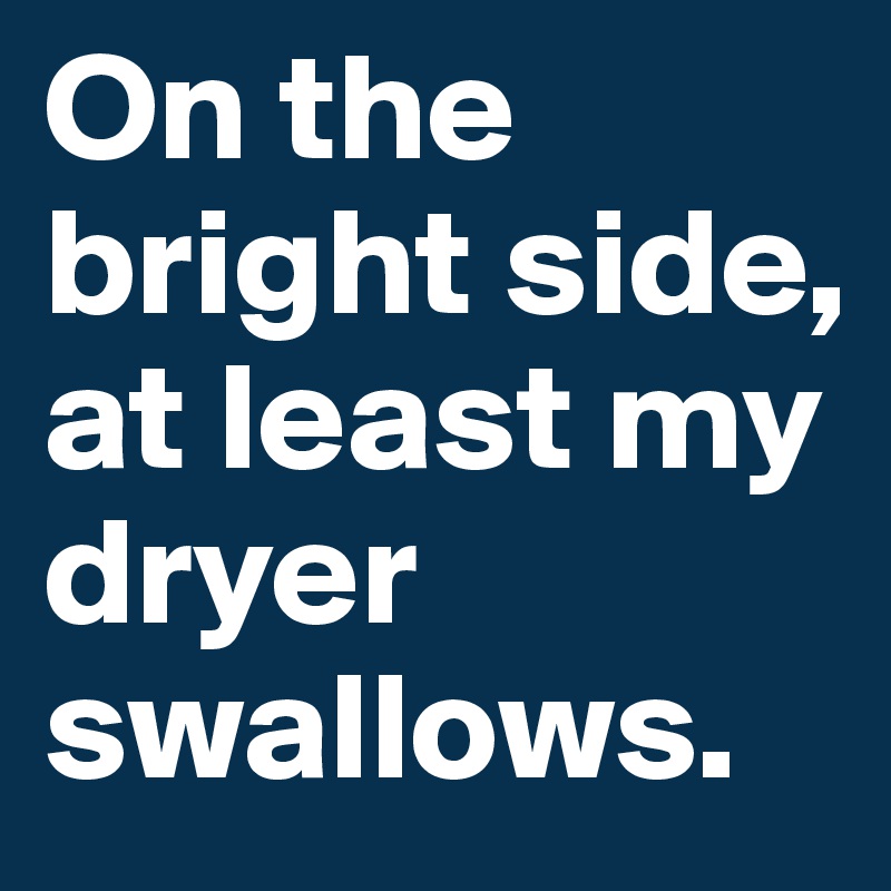On the bright side, at least my dryer swallows.