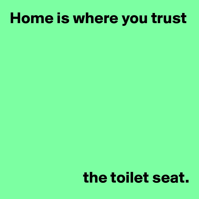 Home is where you trust









                       the toilet seat.