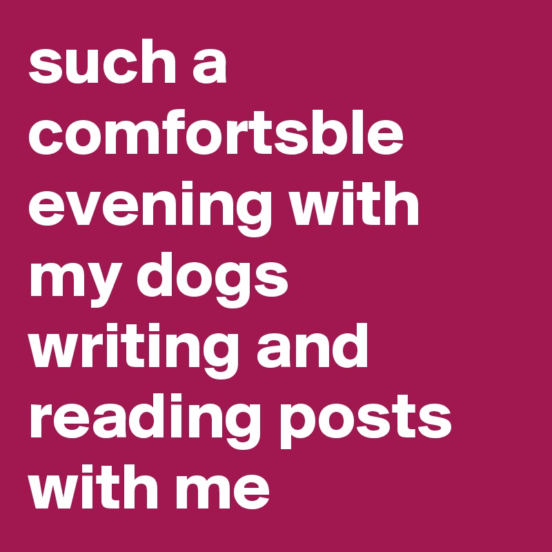 such a comfortsble evening with my dogs writing and reading posts with me 