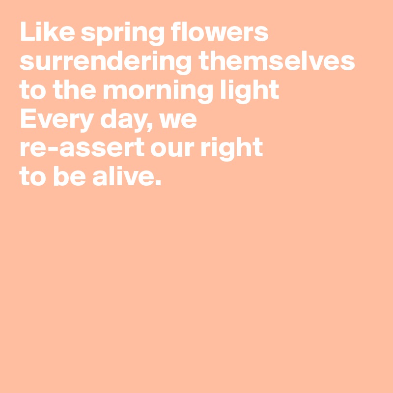 Like spring flowers surrendering themselves to the morning light
Every day, we 
re-assert our right
to be alive.





