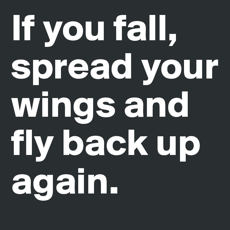 If you fall, spread your wings and fly back up again. 