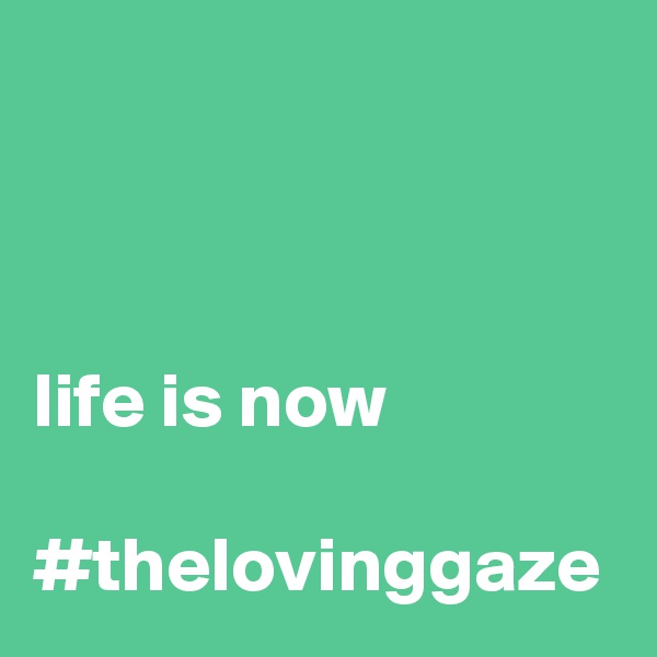



life is now

#thelovinggaze