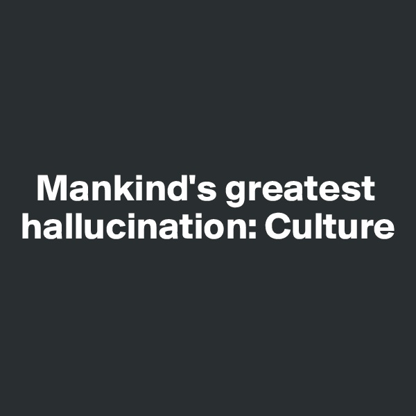 



  Mankind's greatest hallucination: Culture  



