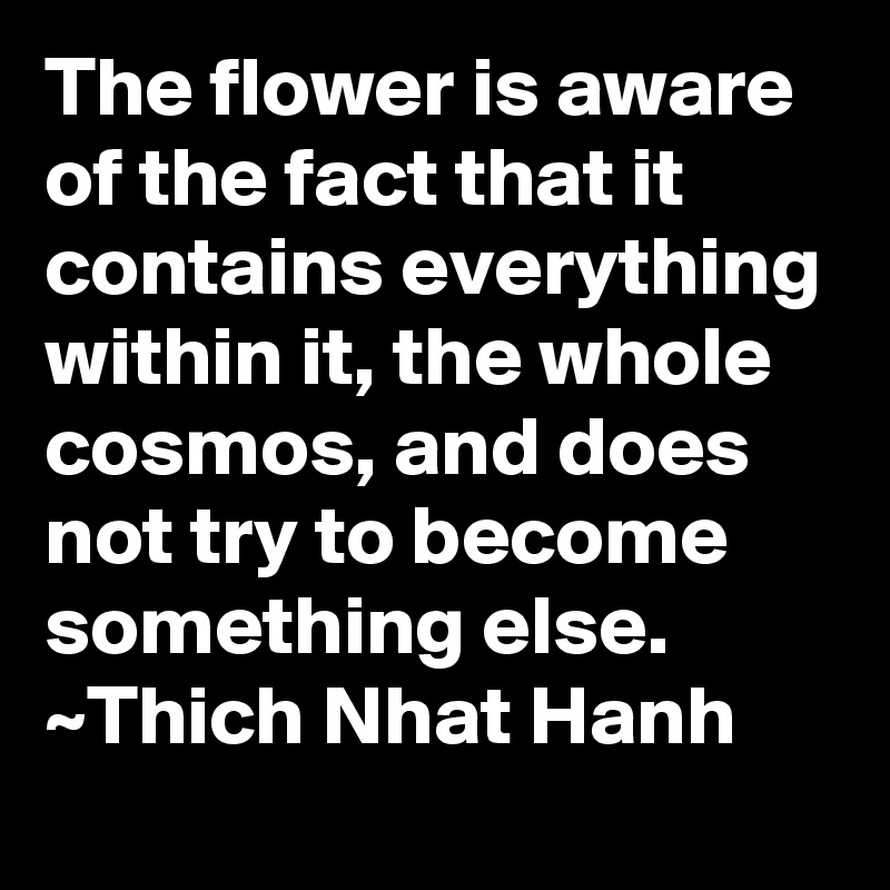 The flower is aware of the fact that it contains everything within it, the whole cosmos, and does not try to become something else.
~Thich Nhat Hanh