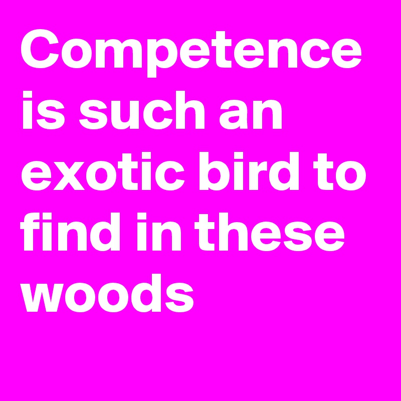 Competence is such an exotic bird to find in these woods