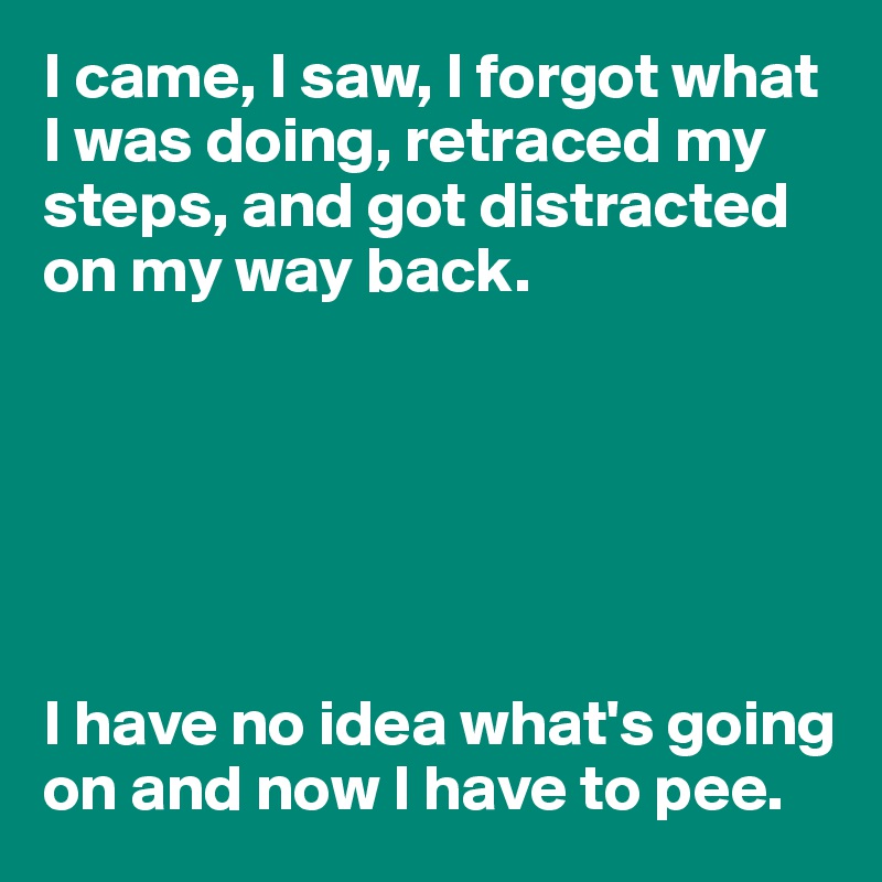 I came, I saw, I forgot what I was doing, retraced my steps, and got distracted on my way back.






I have no idea what's going on and now I have to pee.