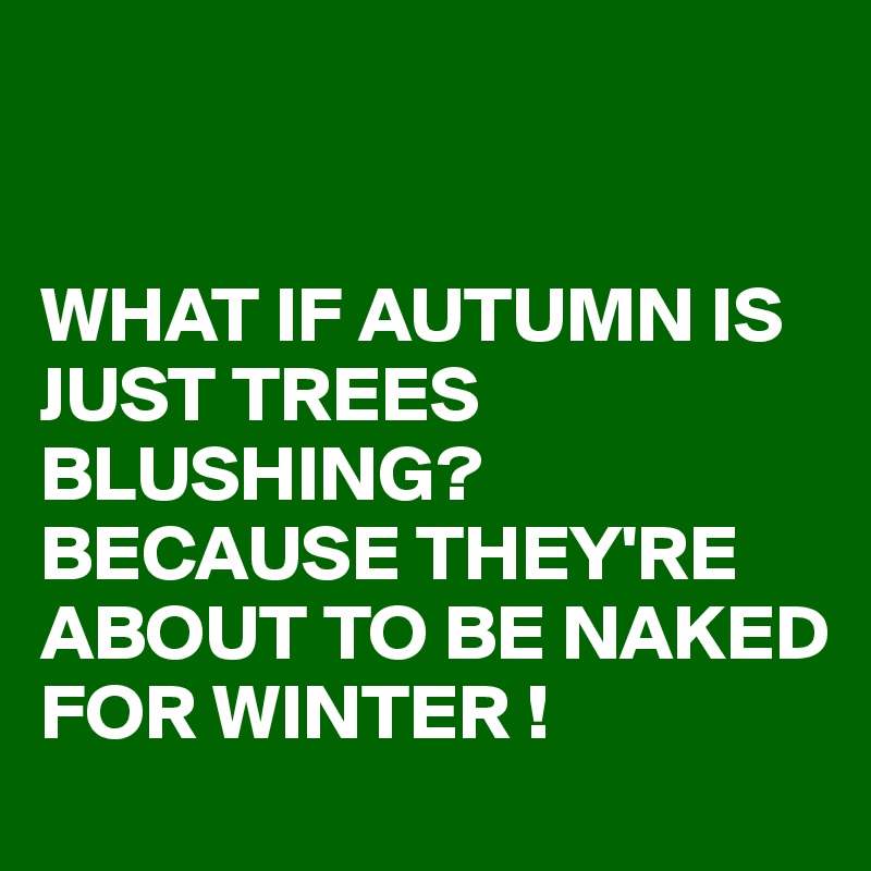 


WHAT IF AUTUMN IS JUST TREES BLUSHING?
BECAUSE THEY'RE ABOUT TO BE NAKED FOR WINTER !