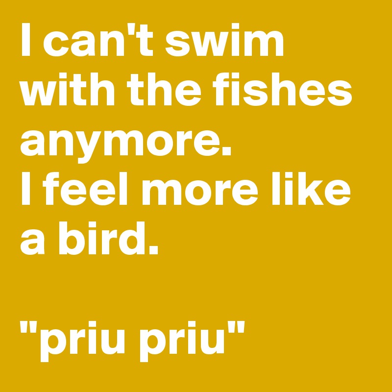 I can't swim with the fishes anymore. 
I feel more like a bird. 

"priu priu"