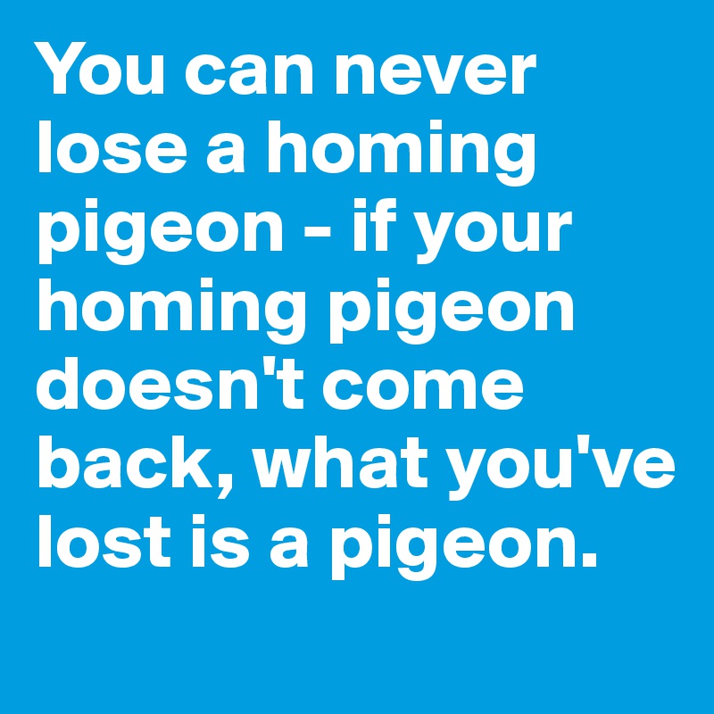 You can never lose a homing pigeon - if your homing pigeon doesn't come back, what you've lost is a pigeon.

