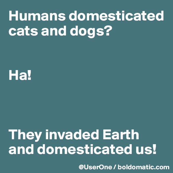 Humans domesticated
cats and dogs?


Ha!



They invaded Earth and domesticated us!