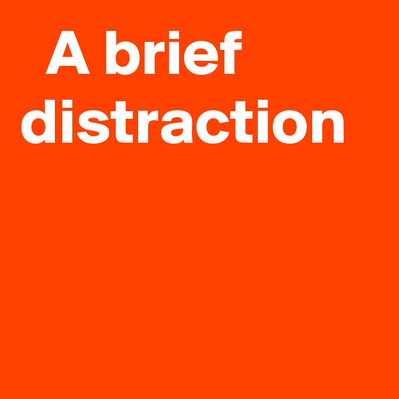   A brief distraction
