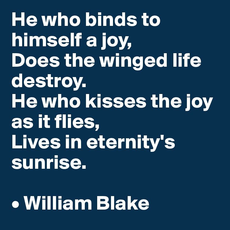 He who binds to himself a joy,
Does the winged life destroy.
He who kisses the joy as it flies,
Lives in eternity's sunrise.

• William Blake
