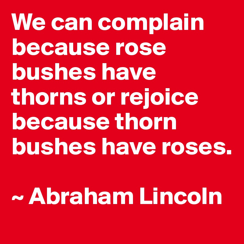 We can complain because rose bushes have thorns or rejoice because thorn bushes have roses.

~ Abraham Lincoln