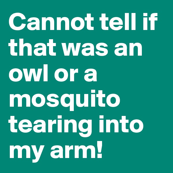 Cannot tell if that was an owl or a mosquito tearing into my arm!