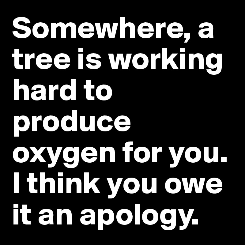 Somewhere, a tree is working hard to produce oxygen for you. I think you owe it an apology.