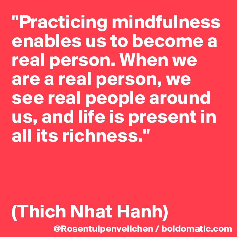 "Practicing mindfulness enables us to become a real person. When we are a real person, we see real people around us, and life is present in all its richness."



(Thich Nhat Hanh)