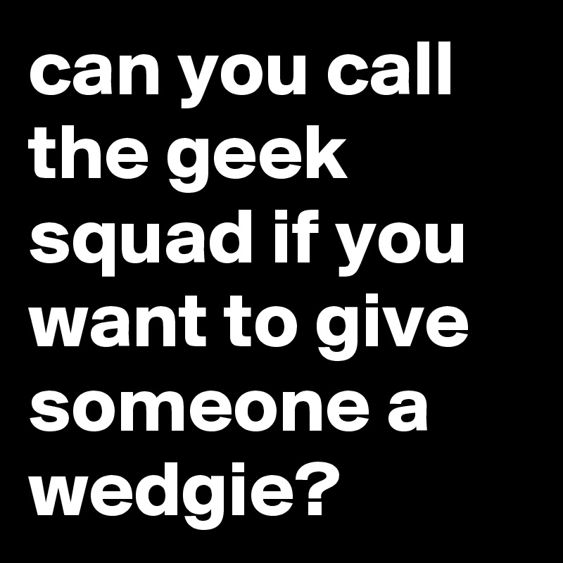 can you call the geek squad if you want to give someone a wedgie?