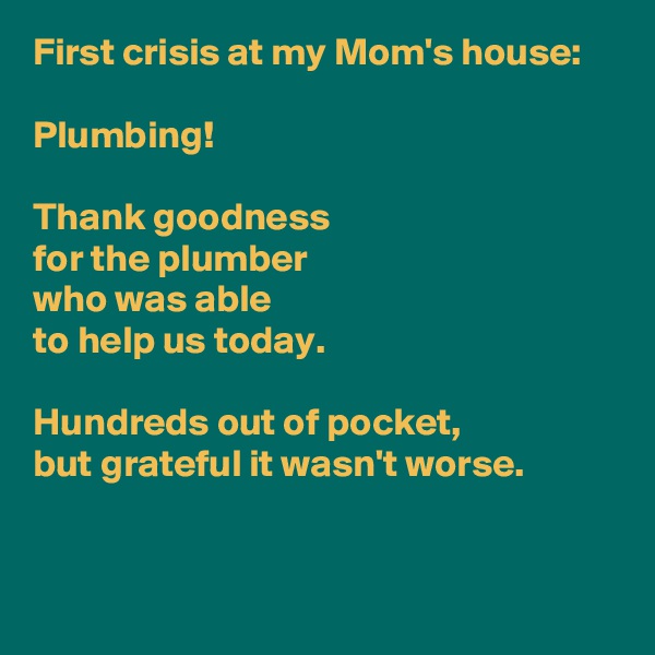 First crisis at my Mom's house:

Plumbing!

Thank goodness 
for the plumber 
who was able 
to help us today.

Hundreds out of pocket,
but grateful it wasn't worse.


