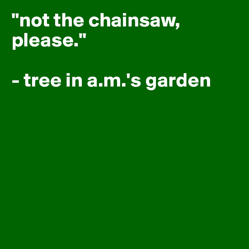 "not the chainsaw, please."

- tree in a.m.'s garden






