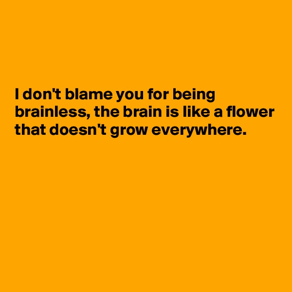 



I don't blame you for being brainless, the brain is like a flower that doesn't grow everywhere.







