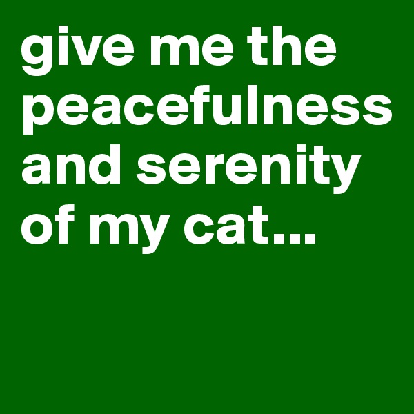 give me the peacefulness and serenity of my cat...

