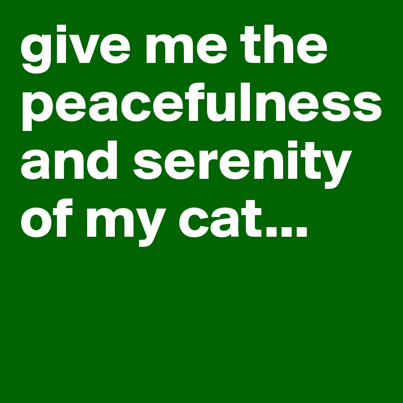give me the peacefulness and serenity of my cat...

