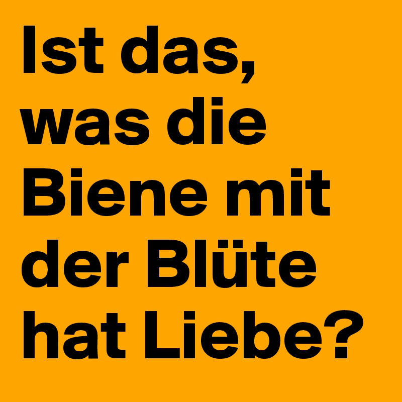 Ist das, was die Biene mit der Blüte hat Liebe?