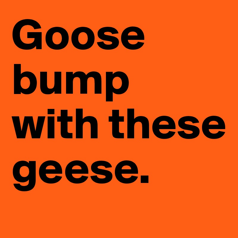 Goose bump with these geese.