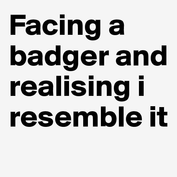 Facing a badger and realising i resemble it