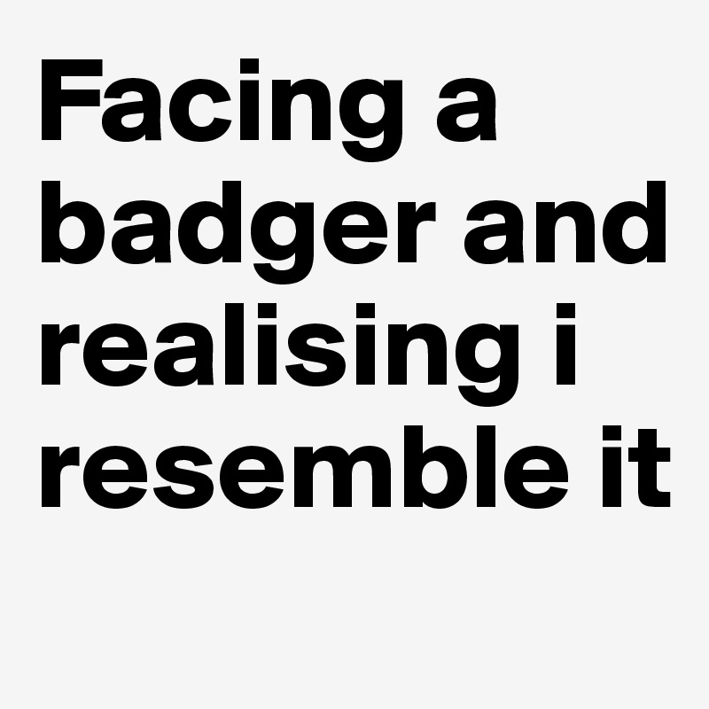 Facing a badger and realising i resemble it