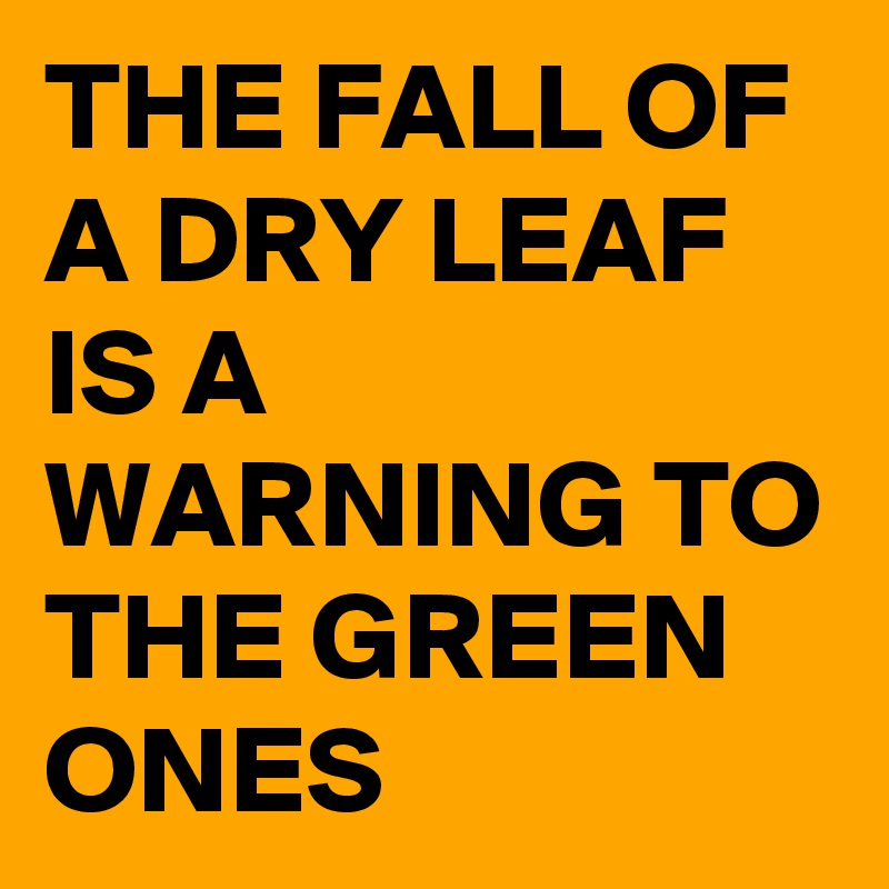 THE FALL OF A DRY LEAF IS A WARNING TO THE GREEN ONES 