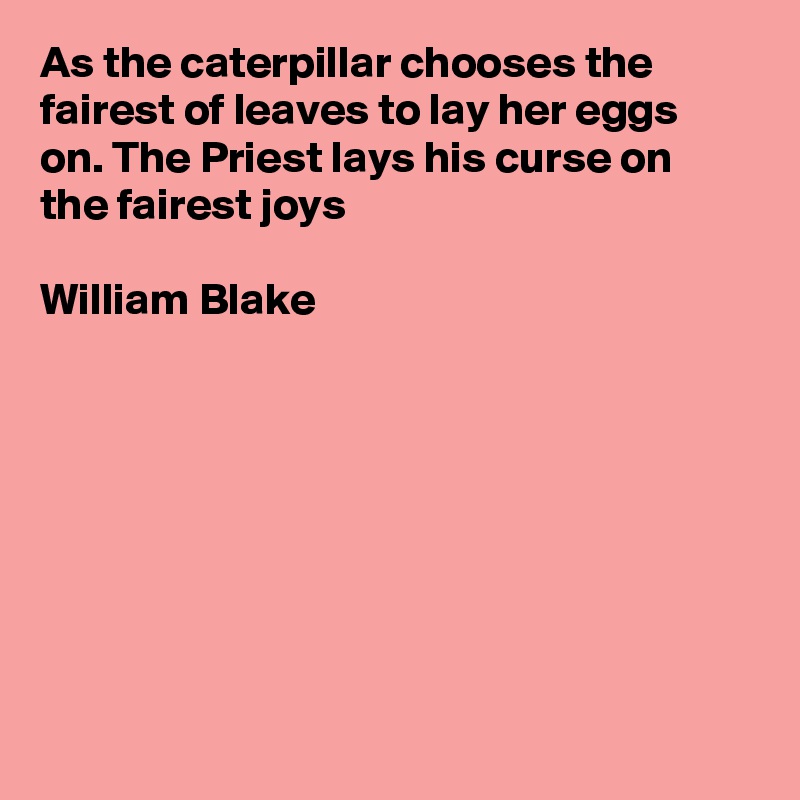 As the caterpillar chooses the fairest of leaves to lay her eggs on. The Priest lays his curse on the fairest joys

William Blake









