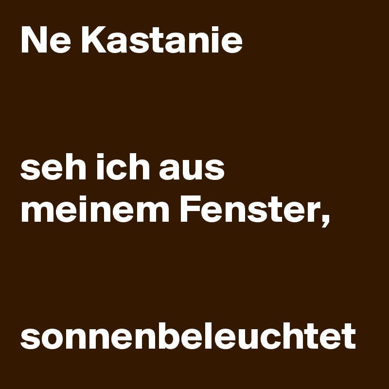 Ne Kastanie


seh ich aus meinem Fenster,


sonnenbeleuchtet