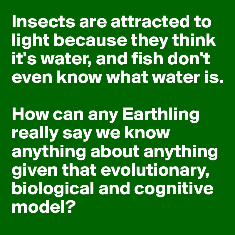 Insects are attracted to light because they think it's water, and fish don't even know what water is.

How can any Earthling really say we know anything about anything given that evolutionary, biological and cognitive model?