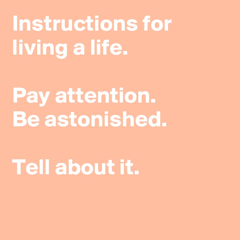 Instructions for living a life. 

Pay attention. 
Be astonished. 

Tell about it.

