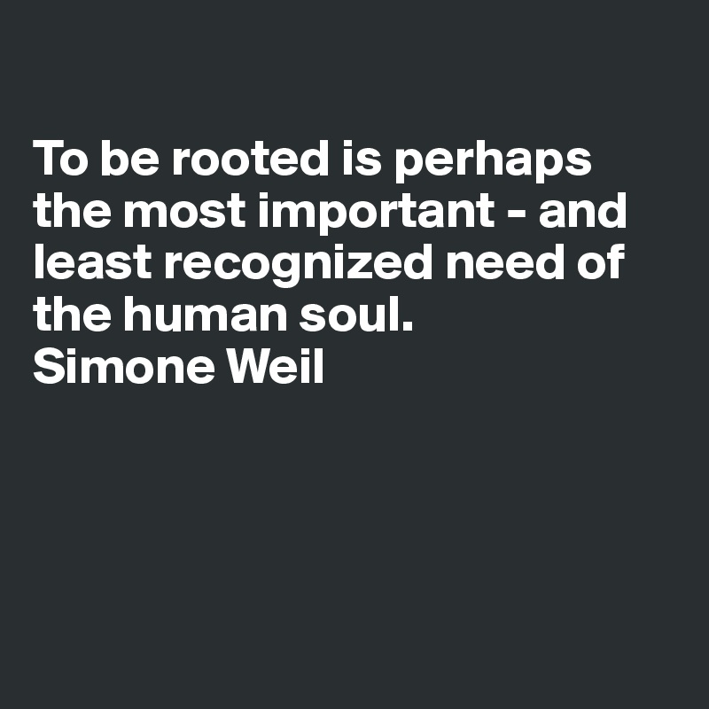 

To be rooted is perhaps the most important - and least recognized need of the human soul.
Simone Weil




