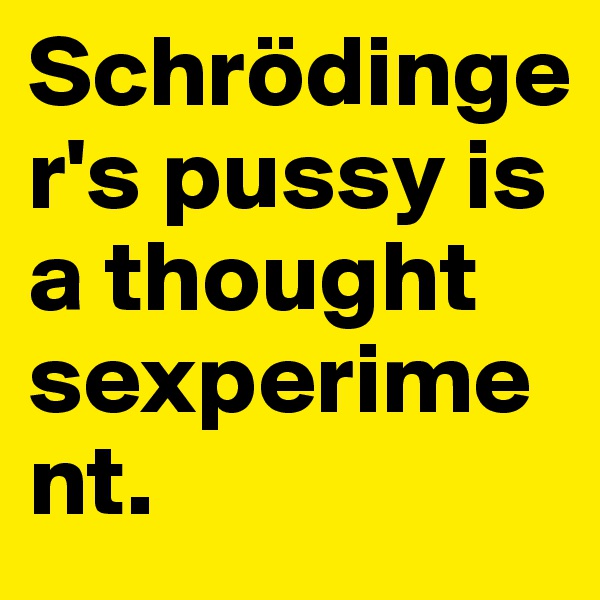 Schrödinger's pussy is a thought sexperiment.