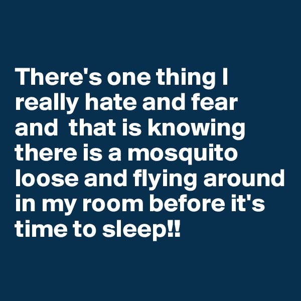 

There's one thing I really hate and fear and  that is knowing there is a mosquito loose and flying around in my room before it's time to sleep!!
