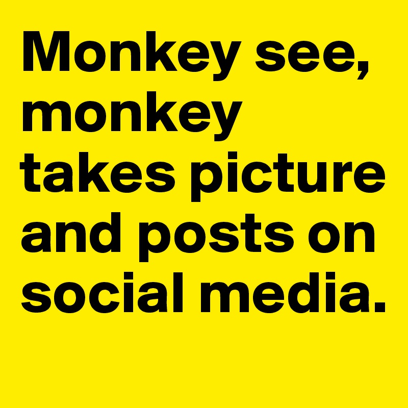 Monkey see, monkey takes picture and posts on social media. 