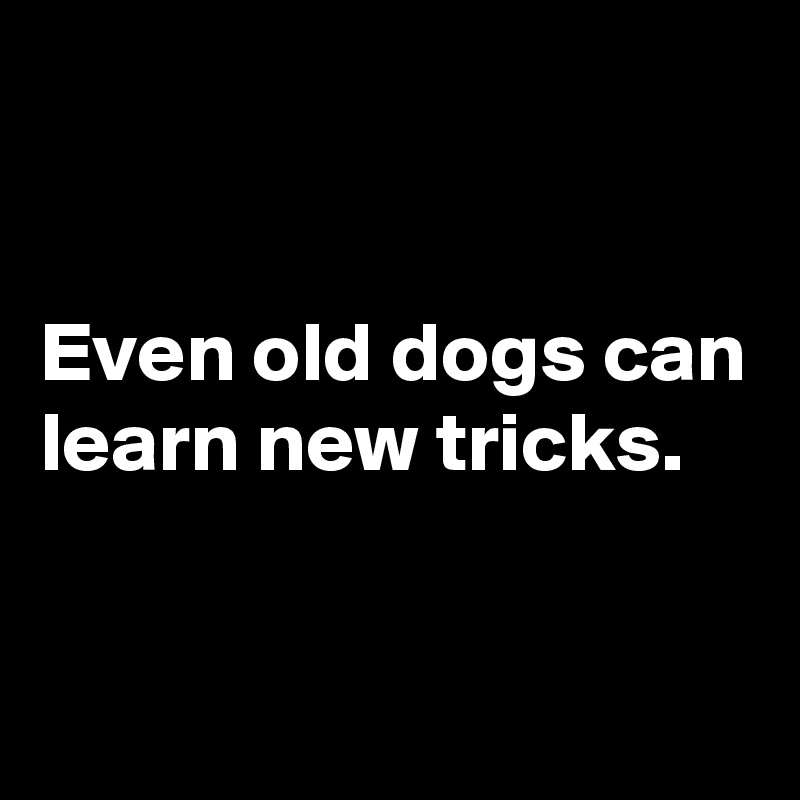 


Even old dogs can learn new tricks.

