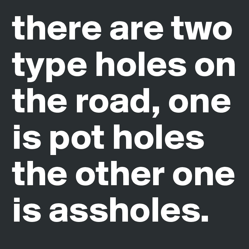 there are two type holes on the road, one is pot holes the other one is assholes.